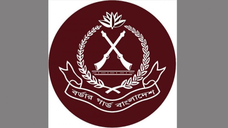 ২ হাজার ১৮৪ কোটি ২৮ লাখ টাকার চোরাচালান পণ্য জব্দ...