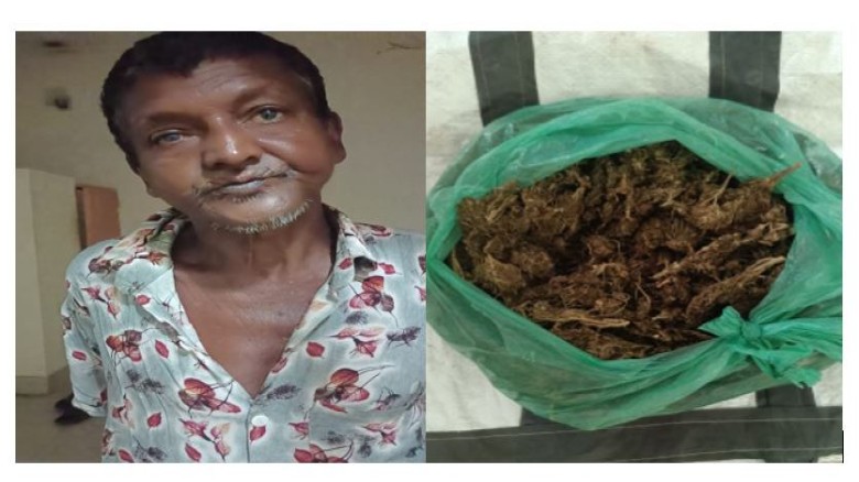 চিতলমারীতে ৪০০ গ্রাম গাঁজাসহ মাদক ব্যবসায়ী গ্রেফতা...