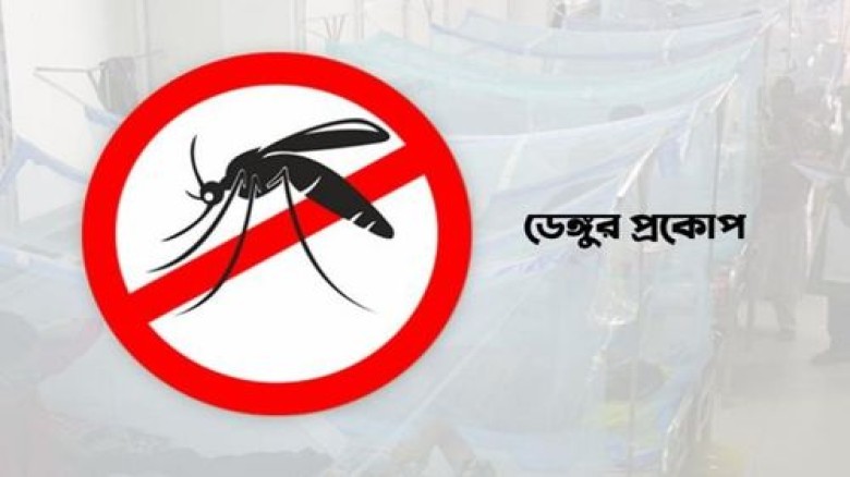 ২৪ ঘণ্টায় ডেঙ্গুতে সর্বোচ্চ ১২ জনের মৃত্যু, হাসপাত...
